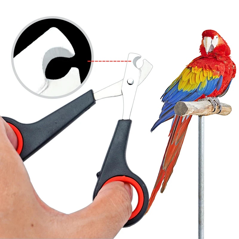 12cm Pet Parrot Nail Scissor D - огляд і ціна Grooming Scissors